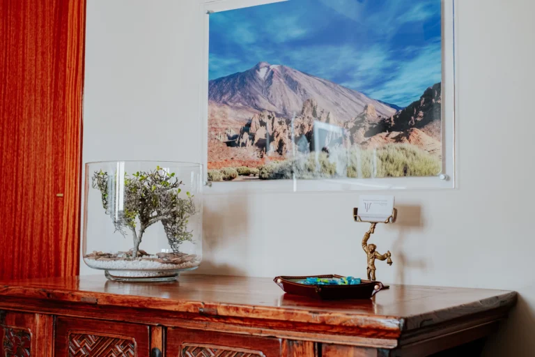 mejor psicologo de tenerife